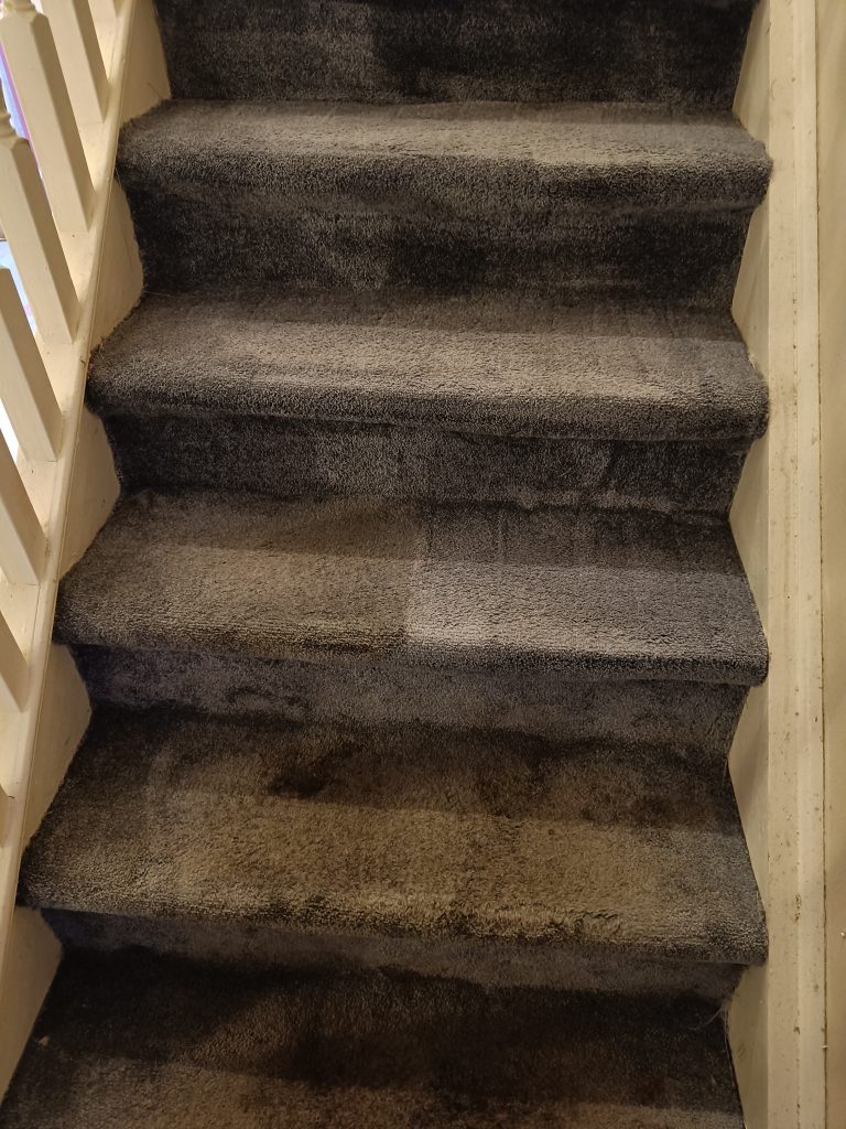 Grey stairs carpet cleaned, progress of cleaning carpets shown, part cleaned, part dirty. Best carpet cleaning service in Limerick